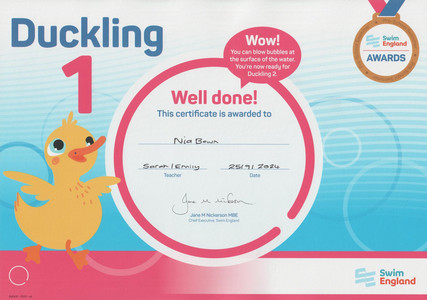 2024-09-25 Swimming Duckling 1.jpeg